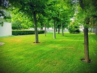 JARDIN_3
